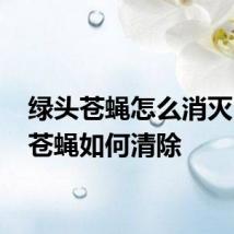 绿头苍蝇怎么消灭 绿头苍蝇如何清除