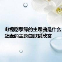 电视剧孽缘的主题曲是什么 电视剧孽缘的主题曲歌词欣赏