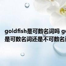goldfish是可数名词吗 goldfish是可数名词还是不可数名词
