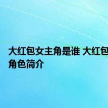大红包女主角是谁 大红包女主角角色简介