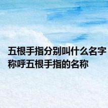 五根手指分别叫什么名字 都怎么称呼五根手指的名称