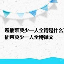 遍插茱萸少一人全诗是什么节日 遍插茱萸少一人全诗译文
