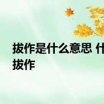 拔作是什么意思 什么是拔作