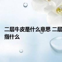 二层牛皮是什么意思 二层牛皮是指什么
