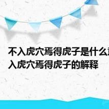 不入虎穴焉得虎子是什么意思 不入虎穴焉得虎子的解释