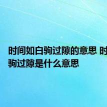 时间如白驹过隙的意思 时间如白驹过隙是什么意思