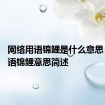 网络用语锦鲤是什么意思 网络用语锦鲤意思简述