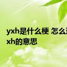 yxh是什么梗 怎么理解yxh的意思