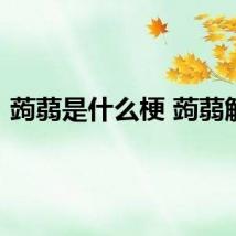 蒟蒻是什么梗 蒟蒻解释