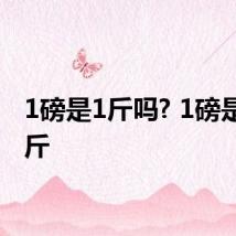 1磅是1斤吗? 1磅是多少斤
