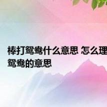 棒打鸳鸯什么意思 怎么理解棒打鸳鸯的意思