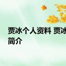 贾冰个人资料 贾冰个人简介