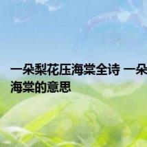 一朵梨花压海棠全诗 一朵梨花压海棠的意思