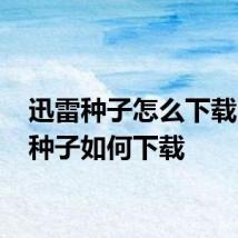 迅雷种子怎么下载 迅雷种子如何下载