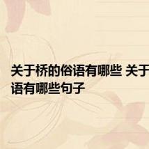 关于桥的俗语有哪些 关于桥的俗语有哪些句子