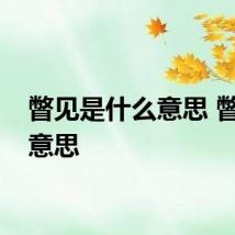 瞥见是什么意思 瞥见的意思