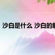 沙白是什么 沙白的解释
