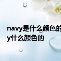navy是什么颜色的 navy什么颜色的