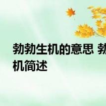 勃勃生机的意思 勃勃生机简述