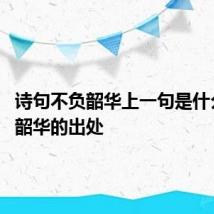 诗句不负韶华上一句是什么 不负韶华的出处