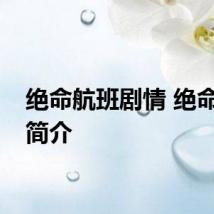绝命航班剧情 绝命航班简介