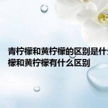 青柠檬和黄柠檬的区别是什么 青柠檬和黄柠檬有什么区别