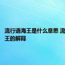 流行语海王是什么意思 流行语海王的解释