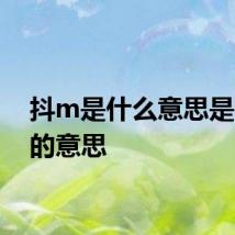 抖m是什么意思是 抖m的意思
