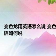 变色龙用英语怎么说 变色龙用英语如何说