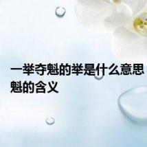 一举夺魁的举是什么意思 一举夺魁的含义