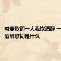 喊麦歌词一人我饮酒醉 一人我饮酒醉歌词是什么