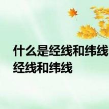 什么是经线和纬线 啥是经线和纬线