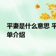 平妻是什么意思 平妻简单介绍