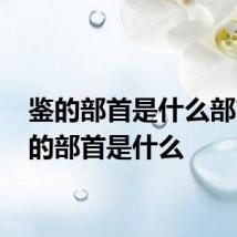 鉴的部首是什么部首 鉴的部首是什么