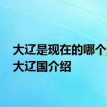 大辽是现在的哪个地方 大辽国介绍
