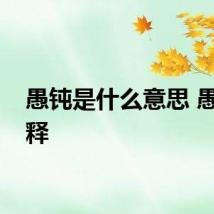 愚钝是什么意思 愚钝解释