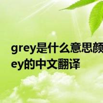 grey是什么意思颜色 grey的中文翻译