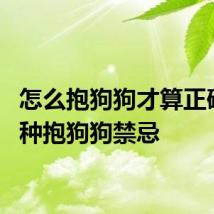 怎么抱狗狗才算正确的 3种抱狗狗禁忌