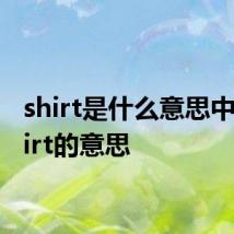 shirt是什么意思中文 shirt的意思
