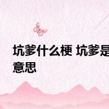 坑爹什么梗 坑爹是什么意思