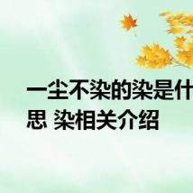 一尘不染的染是什么意思 染相关介绍