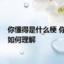 你懂得是什么梗 你懂得如何理解