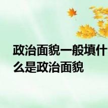 政治面貌一般填什么 什么是政治面貌