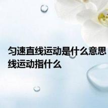 匀速直线运动是什么意思 匀速直线运动指什么