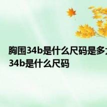 胸围34b是什么尺码是多大 胸围34b是什么尺码