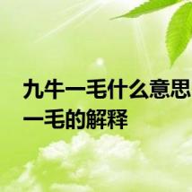 九牛一毛什么意思 九牛一毛的解释