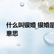 什么叫银婚 银婚是什么意思