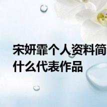 宋妍霏个人资料简介 有什么代表作品