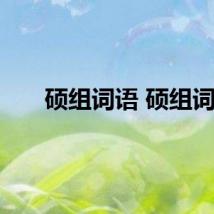 硕组词语 硕组词