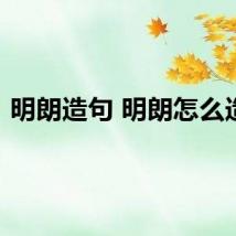 明朗造句 明朗怎么造句